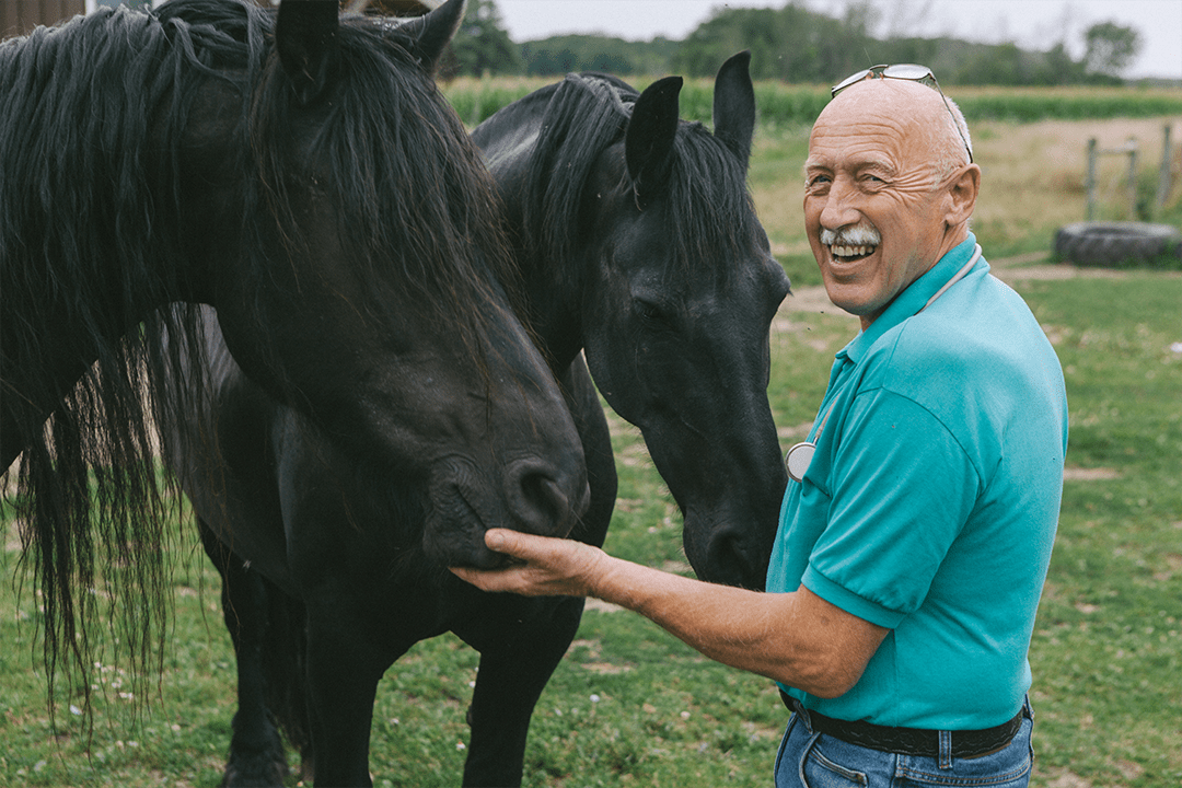 DrPol-Horses