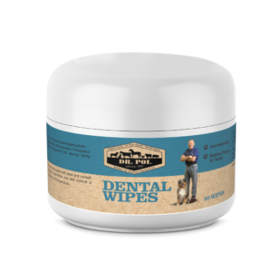 Dental-wipes