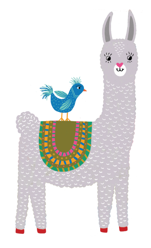 alpaca