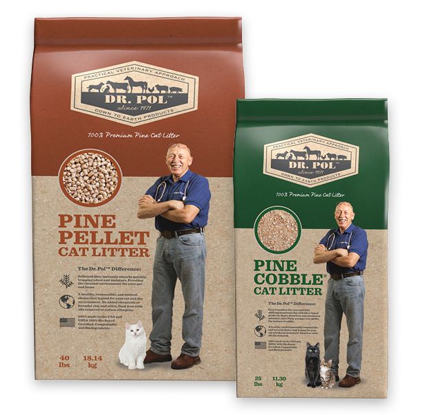 Pine cobble shop cat litter