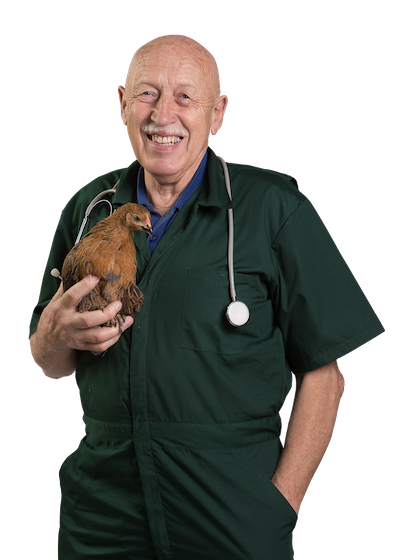 Dr. Pol and Chicken