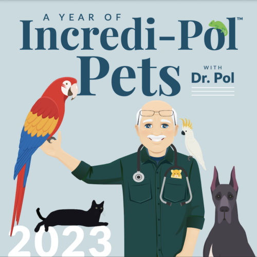 calendar cover