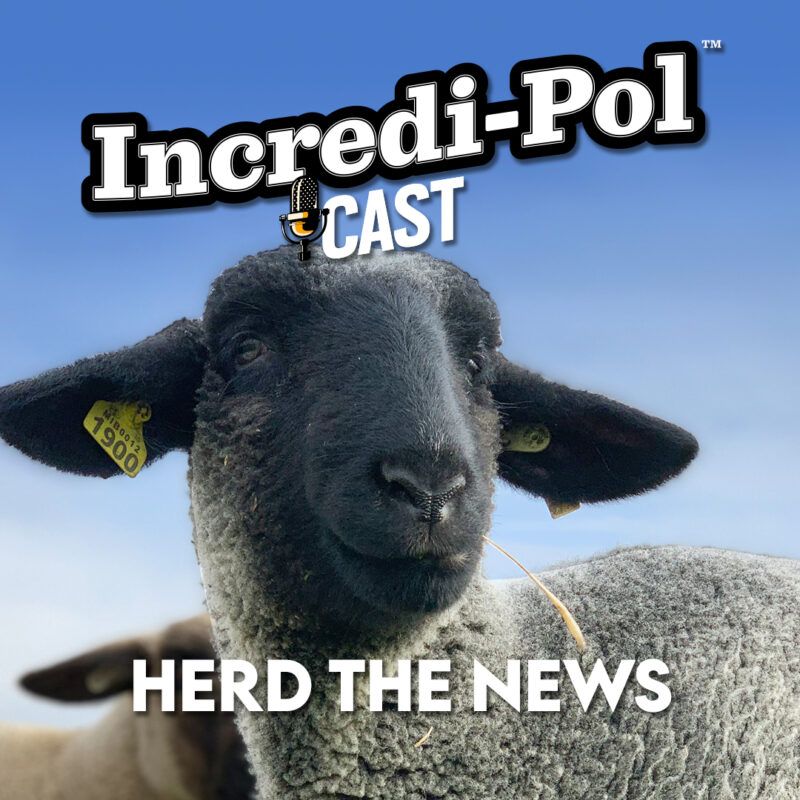 Incredi-Pol Cast - Episode 4: Herd The News