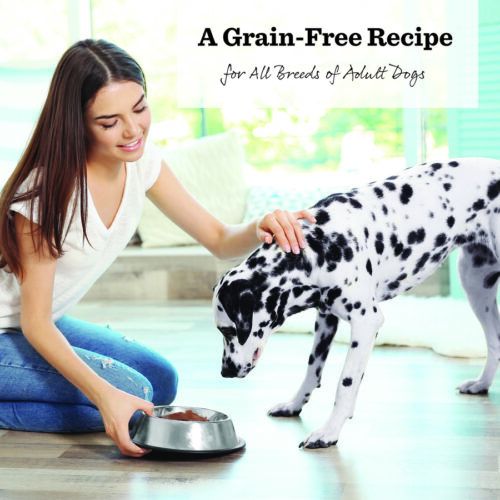A Grain-Free Recipe