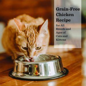 Grain-Free Chicken Recipe