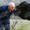 Dr. Pol Autographed Photo Signed Cow