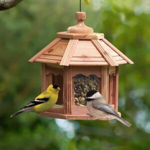 Dr Pol Healthy Songbird Blend Bird feeder