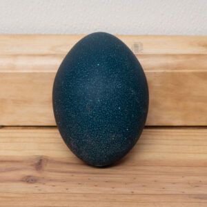 Dr. Pol-Emu-egg