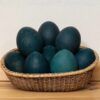 Emu Egg Group