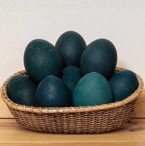 Emu Egg Group