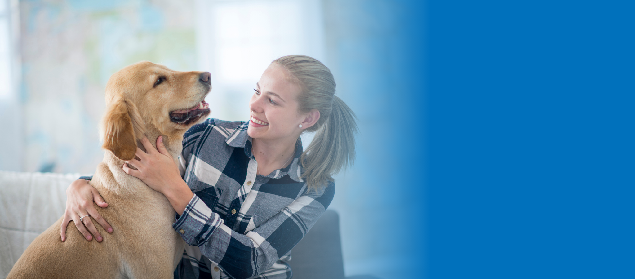 dog and owner background