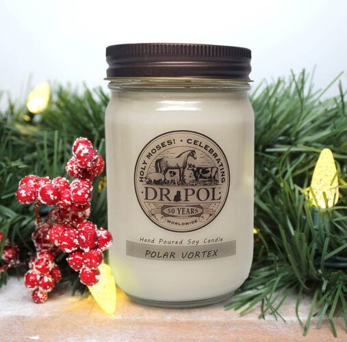 Polar Vortex Candle Blowout Sale