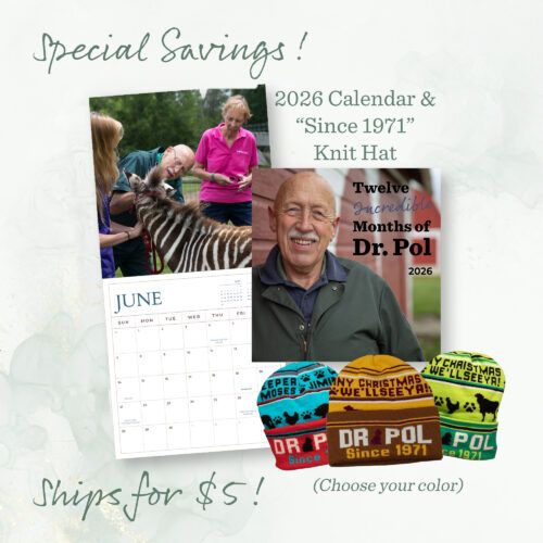Dr. Pol 2026 Wall Calendar and selection of knit hats