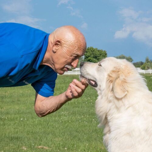 Dr Pol with white dog